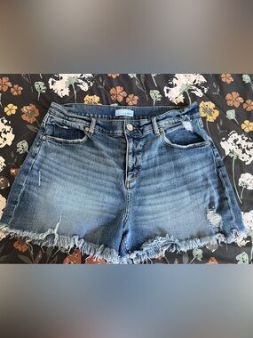 LOFT Light Blue Distressed Denim Shorts